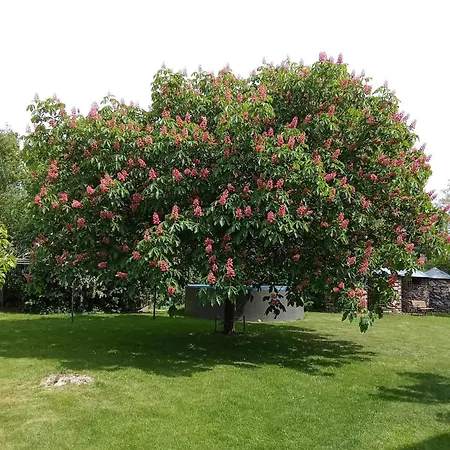 Stara Skola Appartement Hrubá Skála